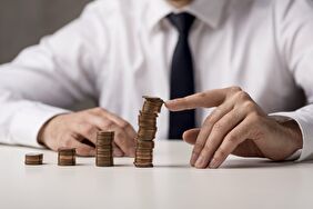Esas Sermaye Nedir?