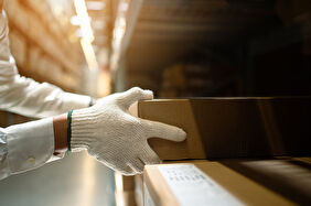 Mail Order Ne Demek?