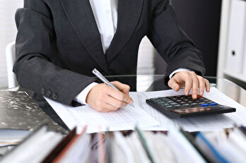 Mali Müşavir Nedir?