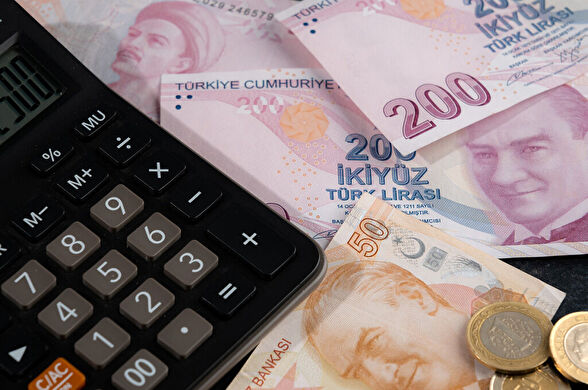 Ödenmiş Sermaye Nedir?